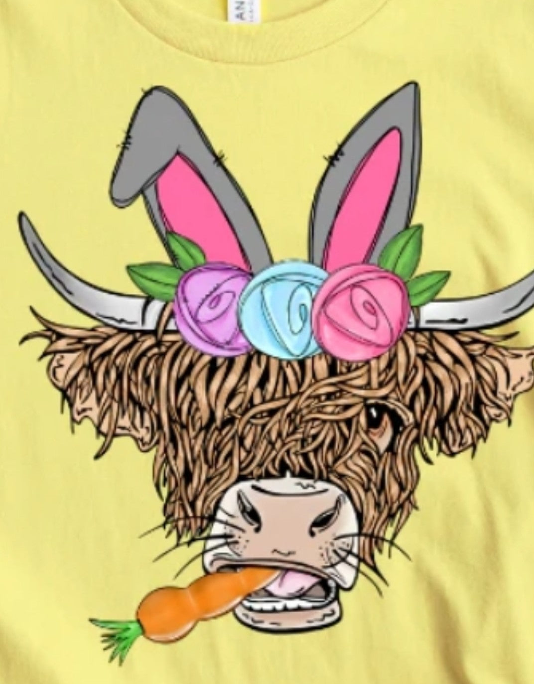 B1-Highland W/Carrot